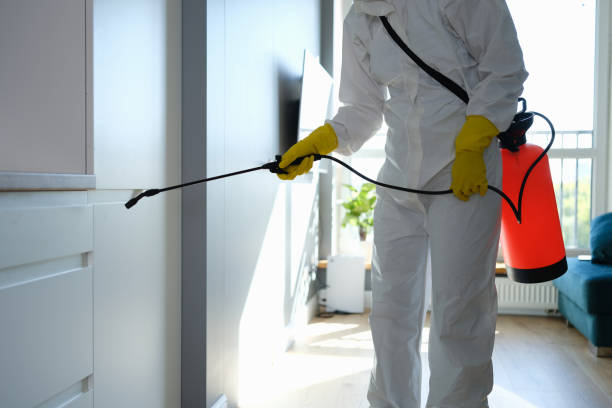 Why You Should Choose Our Mold Remediation Services in Dade City, FL